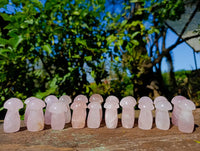 Polished Rose Quartz Mushrooms x 20 Madagascar