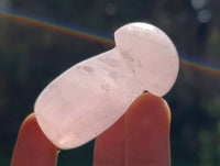 Polished Rose Quartz Mushrooms x 20 Madagascar