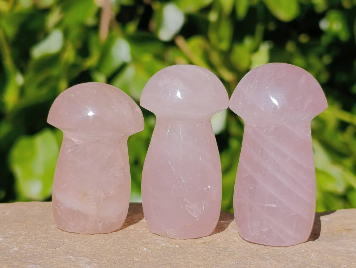 Polished Rose Quartz Mushrooms x 20 Madagascar - Toprock Gemstones and Minerals 
