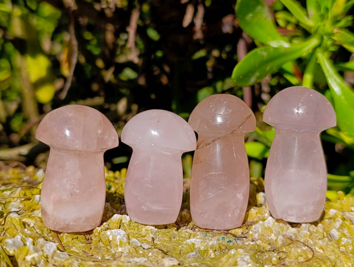 Polished Rose Quartz Mushrooms x 20 Madagascar - Toprock Gemstones and Minerals 
