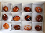 Polished Carnelian Agate Palm Stones x 12 From Madagascar - Toprock Gemstones and Minerals 