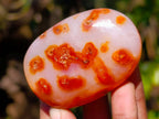Polished Carnelian Agate Palm Stones x 12 From Madagascar - Toprock Gemstones and Minerals 