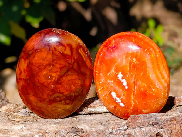 Polished Carnelian Agate Palm Stones x 12 From Madagascar
