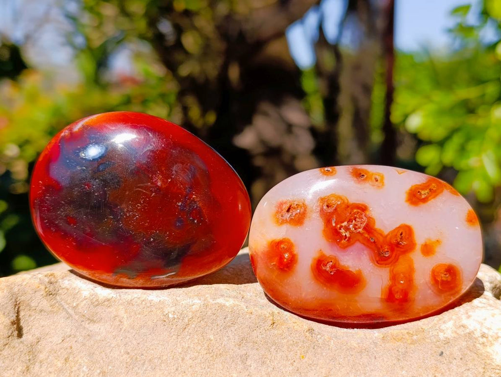 Polished Carnelian Agate Palm Stones x 12 From Madagascar - Toprock Gemstones and Minerals 