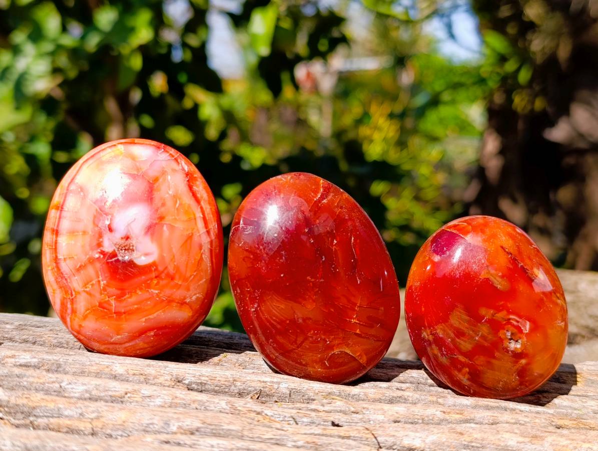 Polished Carnelian Agate Palm Stones x 12 From Madagascar - Toprock Gemstones and Minerals 