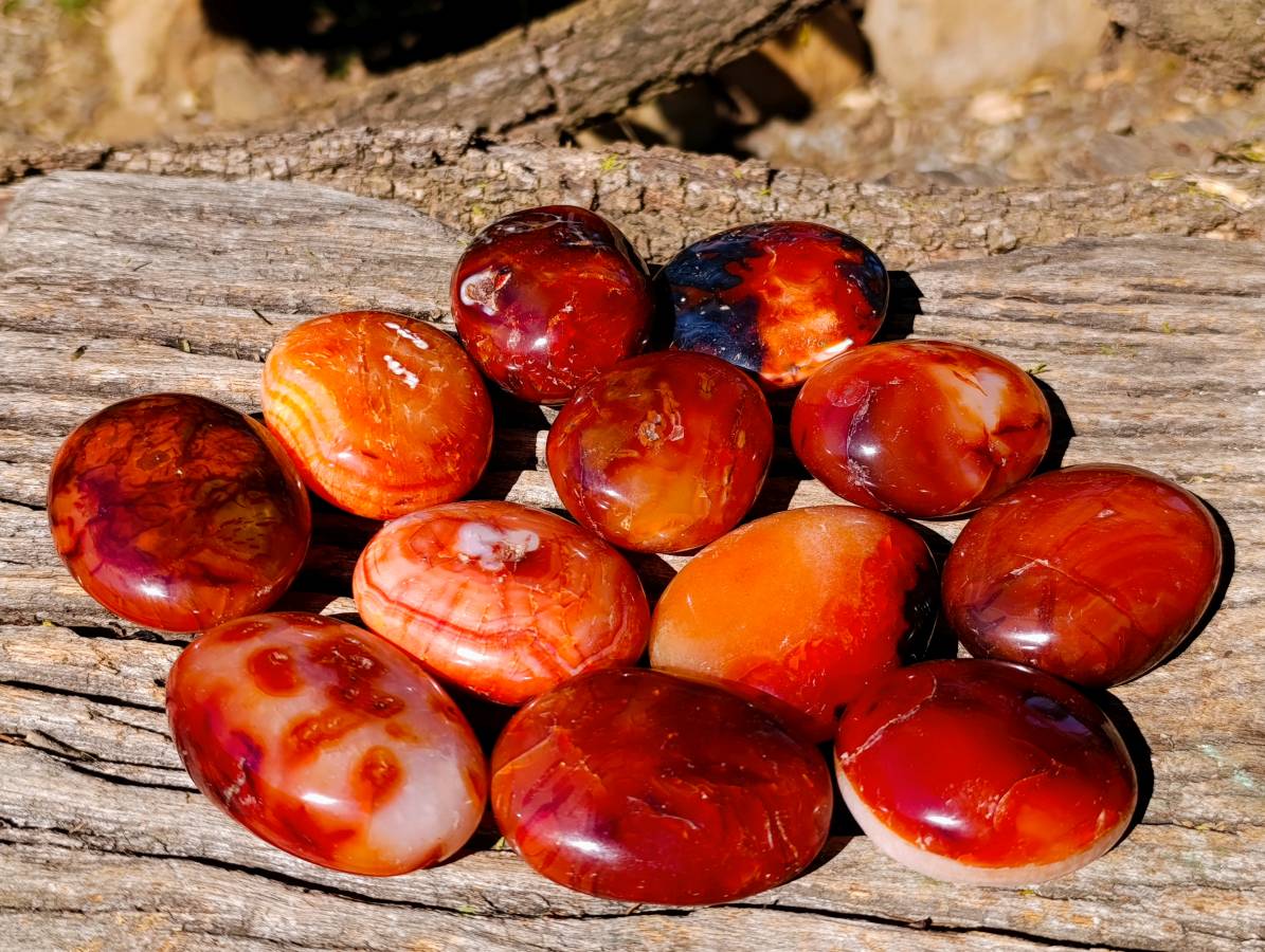 Polished Carnelian Agate Palm Stones x 12 From Madagascar - Toprock Gemstones and Minerals 
