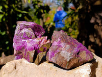 Natural Stichtite Cobbed Specimens x 15 From Barberton, South Africa