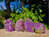 Natural Stichtite Cobbed Specimens x 15 From Barberton, South Africa