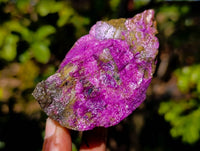 Natural Stichtite Cobbed Specimens x 15 From Barberton, South Africa