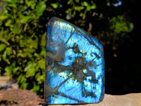 Polished Labradorite Standing Free Form x 1 From Tulear, Madagascar