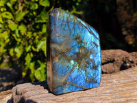 Polished Labradorite Standing Free Form x 1 From Tulear, Madagascar