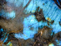 Polished Labradorite Standing Free Form x 1 From Tulear, Madagascar