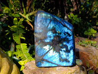 Polished Labradorite Standing Free Form x 1 From Tulear, Madagascar