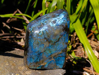 Polished Labradorite Standing Free Form x 1 From Tulear, Madagascar
