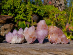 Natural Amethyst Spirit Quartz Clusters x 4 From Boekenhouthoek, South Africa - Toprock Gemstones and Minerals 