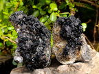 Natural Schorl Black Tourmaline Specimens x 3 From Erongo, Namibia - Toprock Gemstones and Minerals 