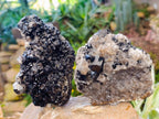 Natural Schorl Black Tourmaline Specimens x 3 From Erongo, Namibia - Toprock Gemstones and Minerals 