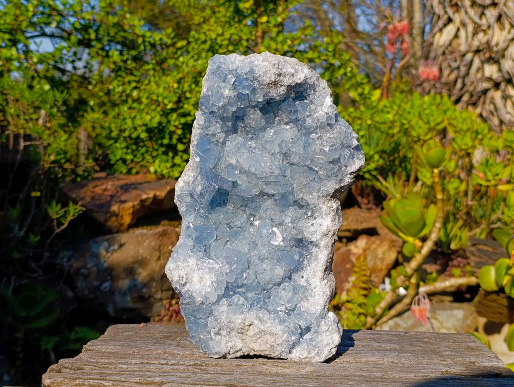 Natural Celestite Geode Specimen x 1 From Sakoany, Madagascar - Toprock Gemstones and Minerals 