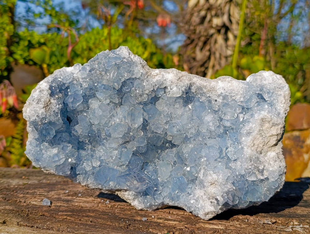 Natural Celestite Geode Specimen x 1 From Sakoany, Madagascar - Toprock Gemstones and Minerals 