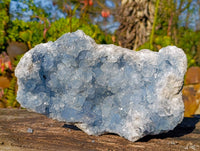 Natural Celestite Geode Specimen x 1 From Sakoany, Madagascar
