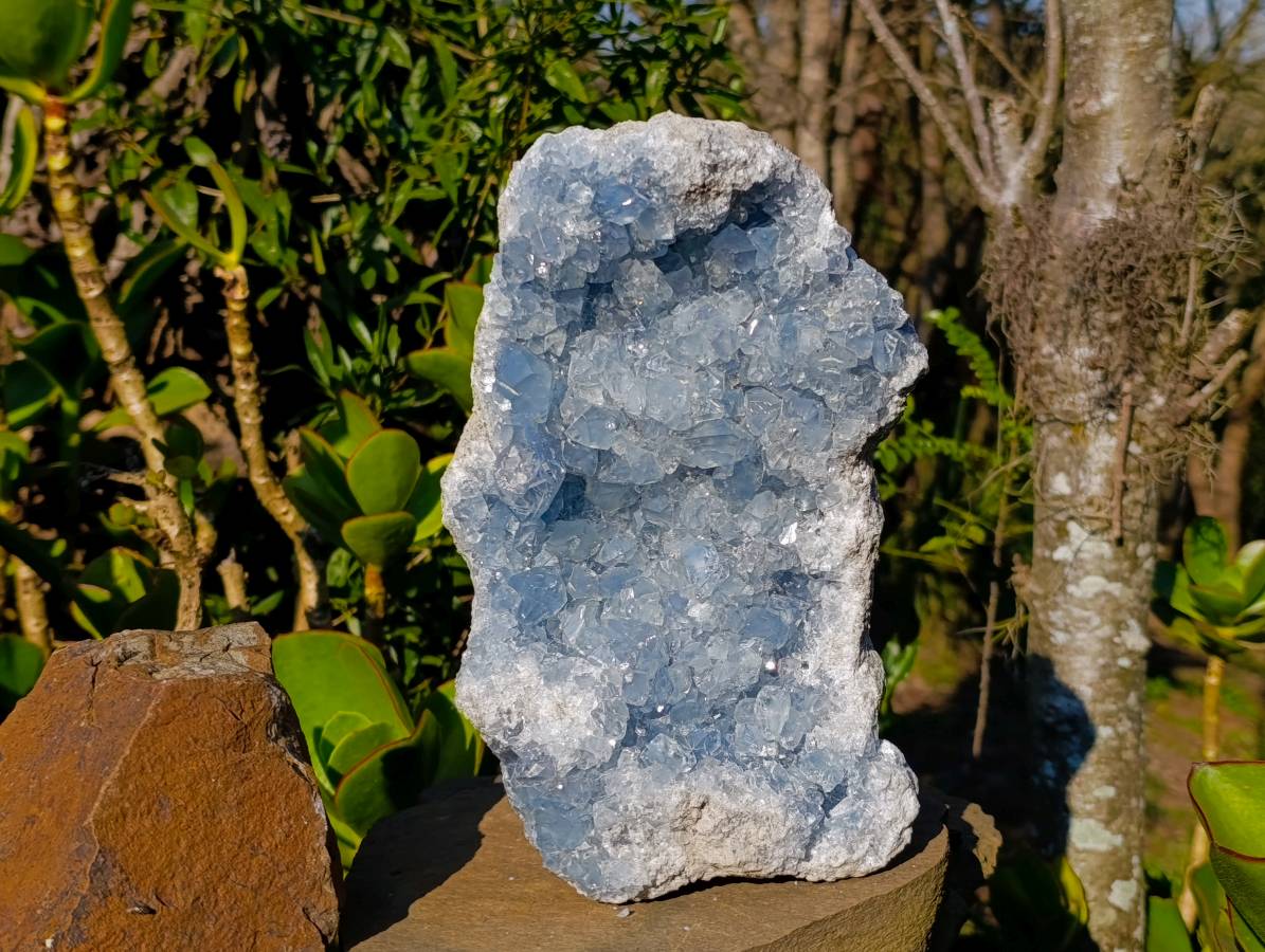 Natural Celestite Geode Specimen x 1 From Sakoany, Madagascar - Toprock Gemstones and Minerals 