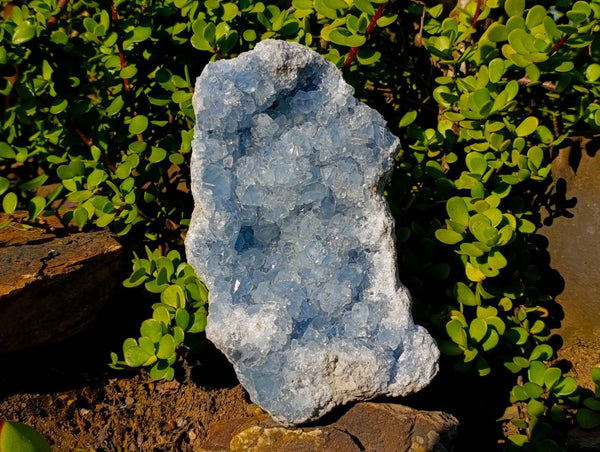 Natural Celestite Geode Specimen x 1 From Sakoany, Madagascar