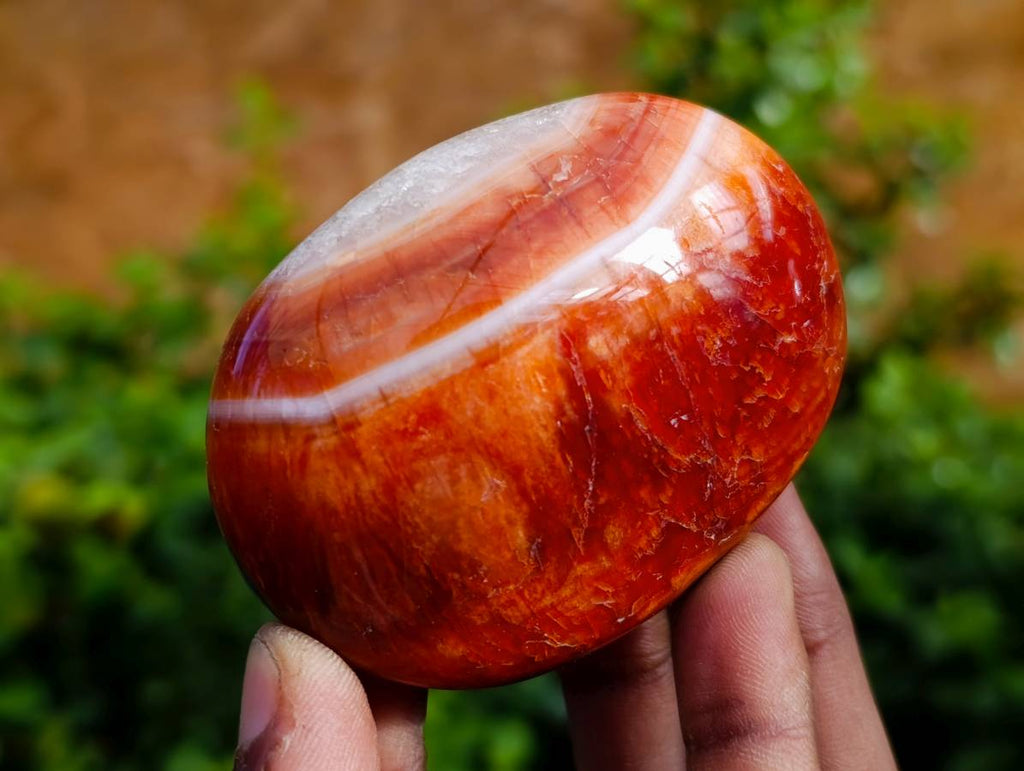 Polished Carnelian Agate Palm Stones x 12 From Madagascar - Toprock Gemstones and Minerals 