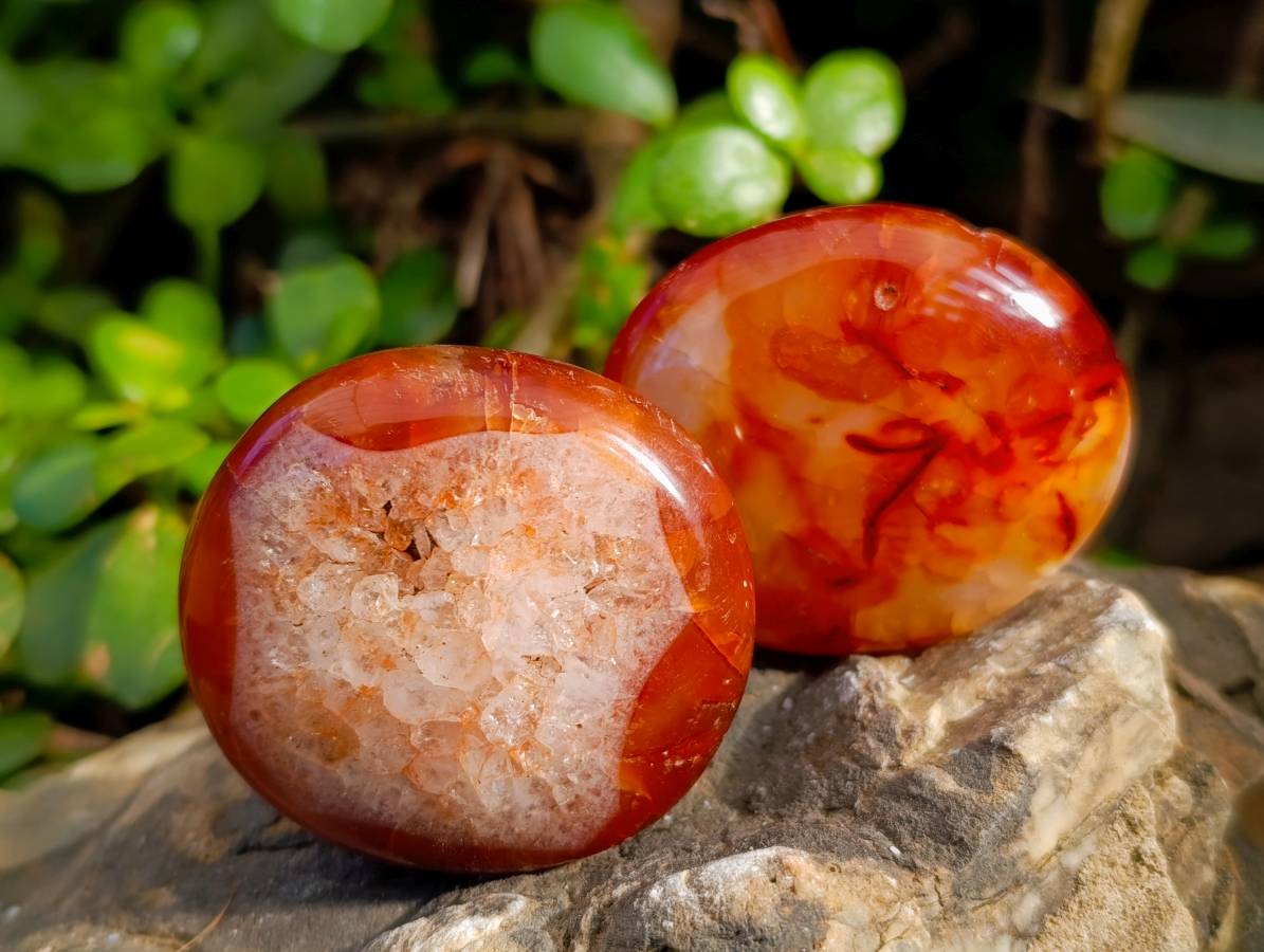 Polished Carnelian Agate Palm Stones x 12 From Madagascar - Toprock Gemstones and Minerals 