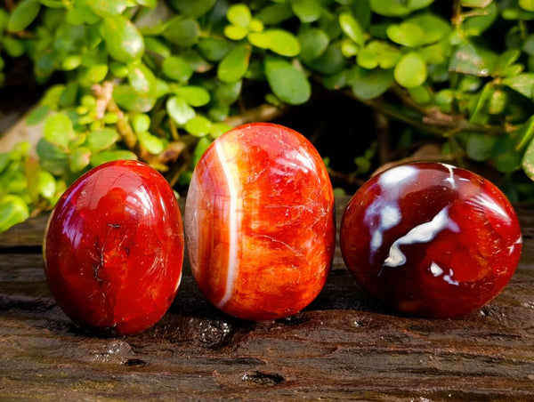Polished Carnelian Agate Palm Stones x 12 From Madagascar