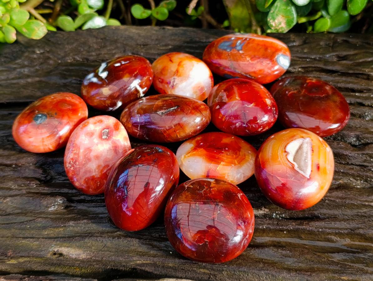 Polished Carnelian Agate Palm Stones x 12 From Madagascar - Toprock Gemstones and Minerals 