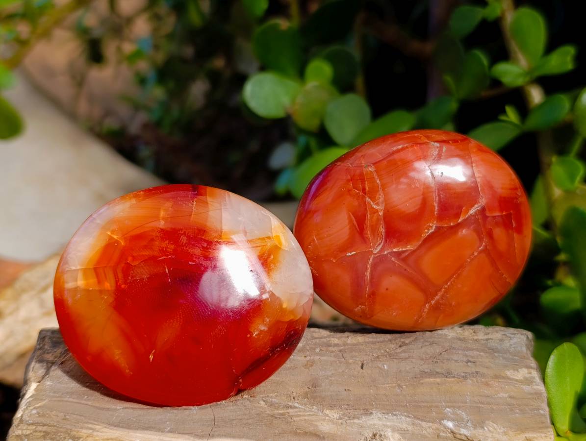 Polished Carnelian Agate Palm Stones x 12 From Madagascar - Toprock Gemstones and Minerals 