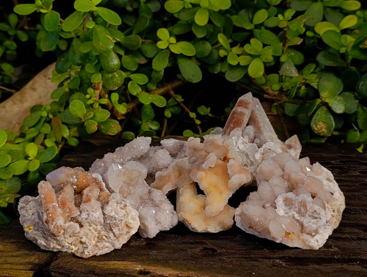 Natural Spirit Quartz Clusters x 6 From Boekenhouthoek, South Africa - Toprock Gemstones and Minerals 