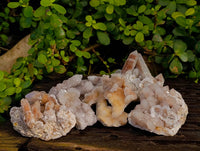 Natural Spirit Quartz Clusters x 6 From Boekenhouthoek, South Africa