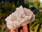 Natural Spirit Quartz Clusters x 6 From Boekenhouthoek, South Africa - Toprock Gemstones and Minerals 