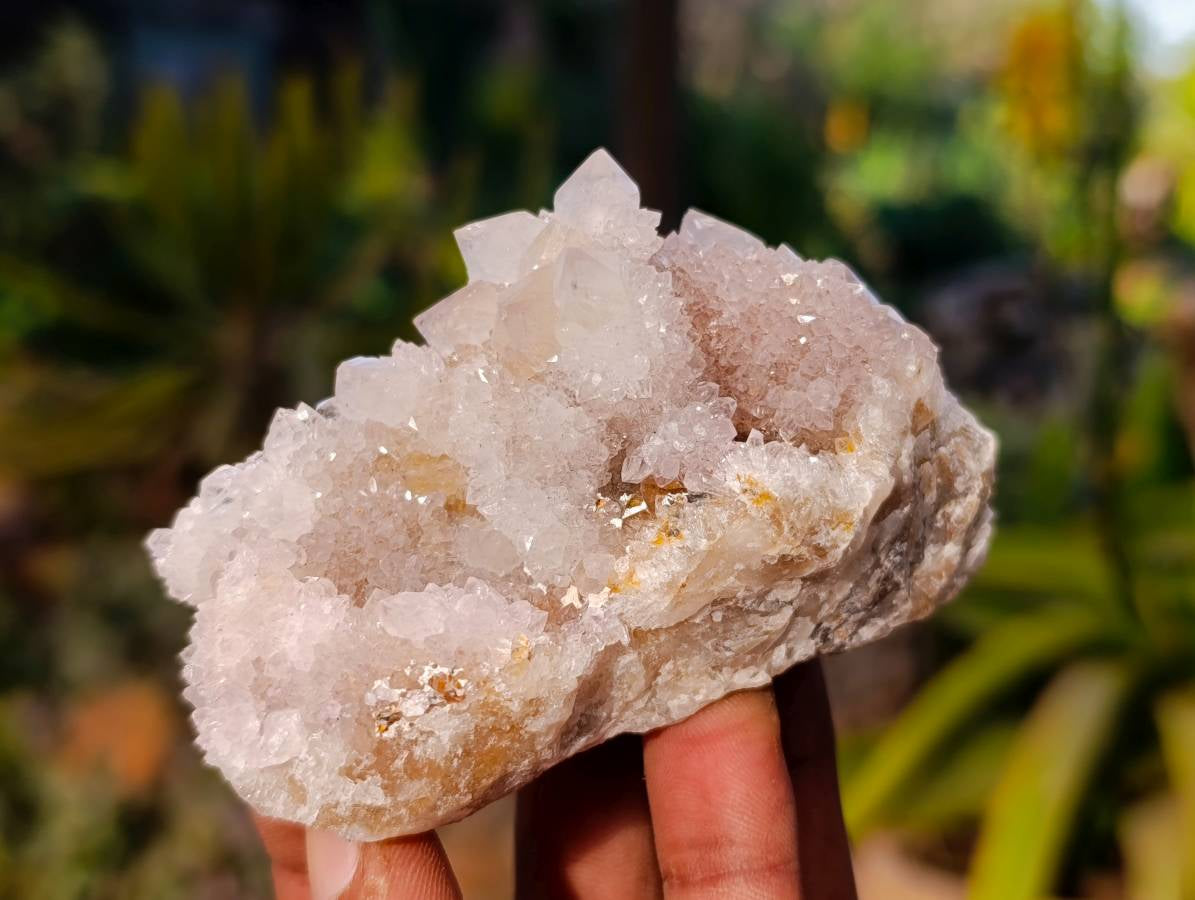 Natural Spirit Quartz Clusters x 6 From Boekenhouthoek, South Africa - Toprock Gemstones and Minerals 