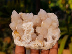 Natural Spirit Quartz Clusters x 6 From Boekenhouthoek, South Africa - Toprock Gemstones and Minerals 