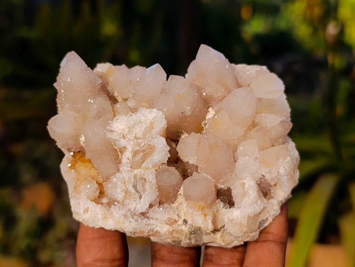 Natural Spirit Quartz Clusters x 6 From Boekenhouthoek, South Africa - Toprock Gemstones and Minerals 