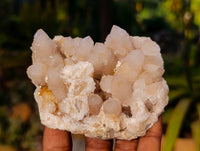 Natural Spirit Quartz Clusters x 6 From Boekenhouthoek, South Africa