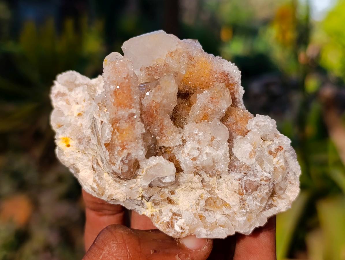 Natural Spirit Quartz Clusters x 6 From Boekenhouthoek, South Africa - Toprock Gemstones and Minerals 