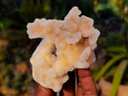 Natural Spirit Quartz Clusters x 6 From Boekenhouthoek, South Africa - Toprock Gemstones and Minerals 