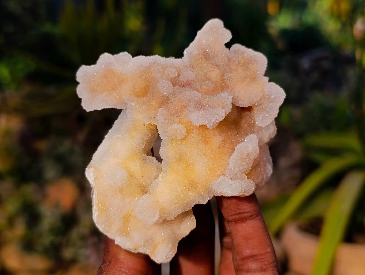 Natural Spirit Quartz Clusters x 6 From Boekenhouthoek, South Africa - Toprock Gemstones and Minerals 