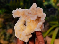 Natural Spirit Quartz Clusters x 6 From Boekenhouthoek, South Africa