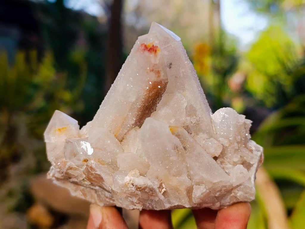 Natural Spirit Quartz Clusters x 6 From Boekenhouthoek, South Africa - Toprock Gemstones and Minerals 