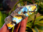 Polished On One Side Labradorite x 24 From Tulear, Madagascar - Toprock Gemstones and Minerals 