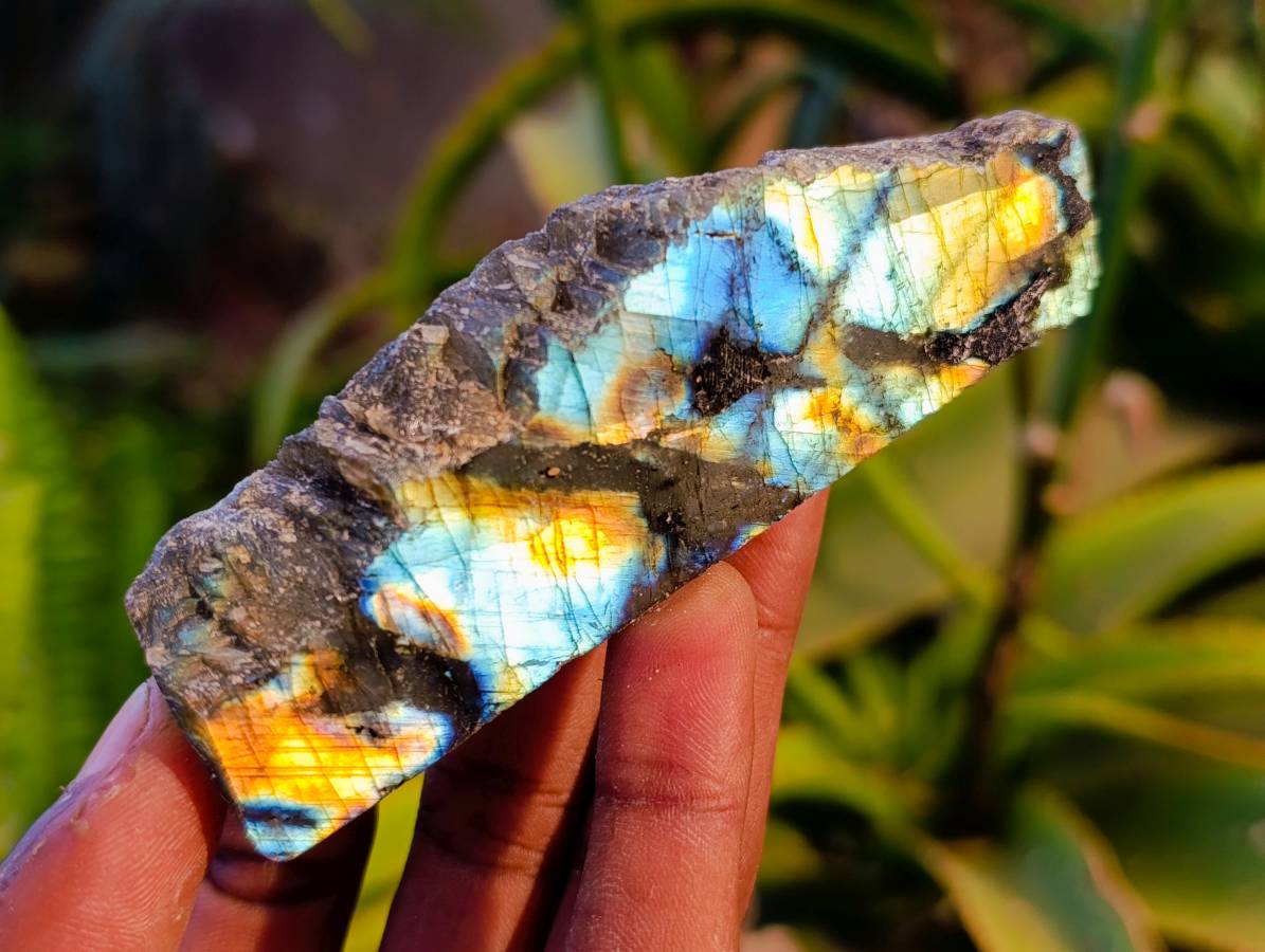 Polished On One Side Labradorite x 24 From Tulear, Madagascar - Toprock Gemstones and Minerals 