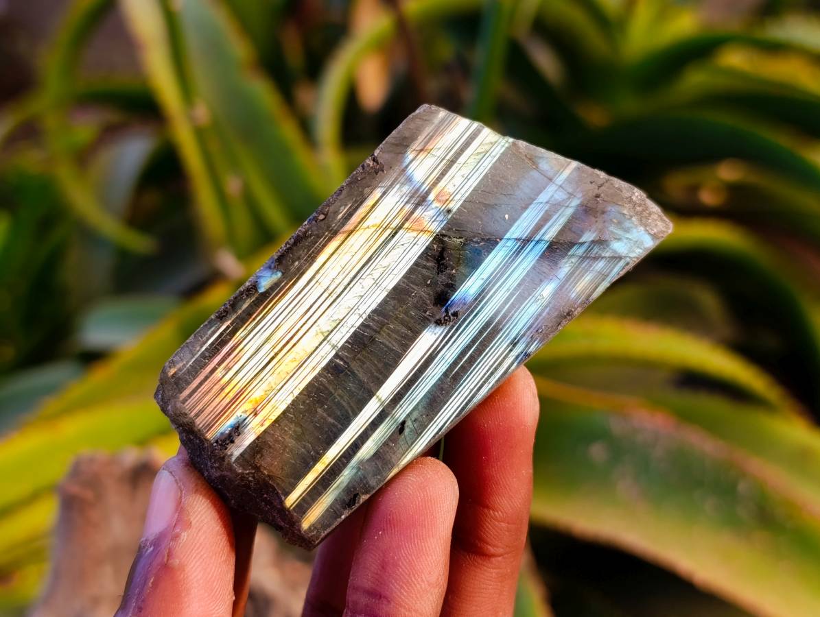Polished On One Side Labradorite x 24 From Tulear, Madagascar - Toprock Gemstones and Minerals 
