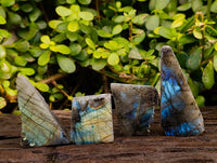 Polished On One Side Labradorite x 24 From Tulear, Madagascar - Toprock Gemstones and Minerals 