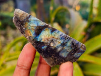 Polished On One Side Labradorite x 24 From Tulear, Madagascar - Toprock Gemstones and Minerals 