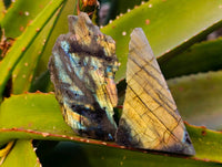 Polished On One Side Labradorite x 24 From Tulear, Madagascar - Toprock Gemstones and Minerals 