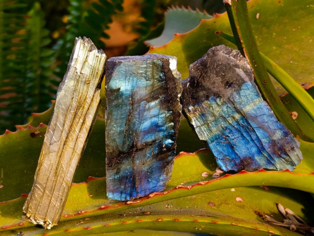 Polished On One Side Labradorite x 24 From Tulear, Madagascar - Toprock Gemstones and Minerals 